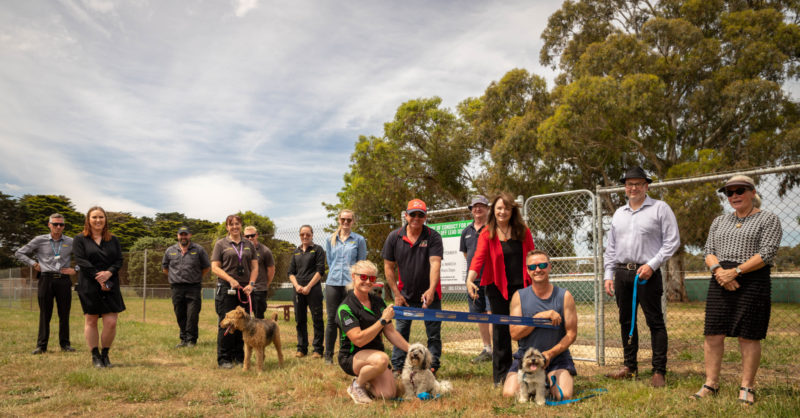 how do you start a community dog park